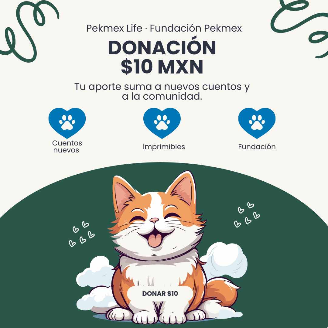Donación desde $10 MXN — Apoya Pekmex Life + Fundación Pekmex
