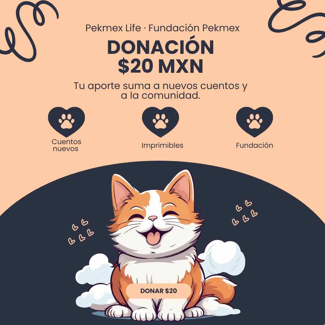 Donación desde $20 MXN — Apoya Pekmex Life + Fundación Pekmex