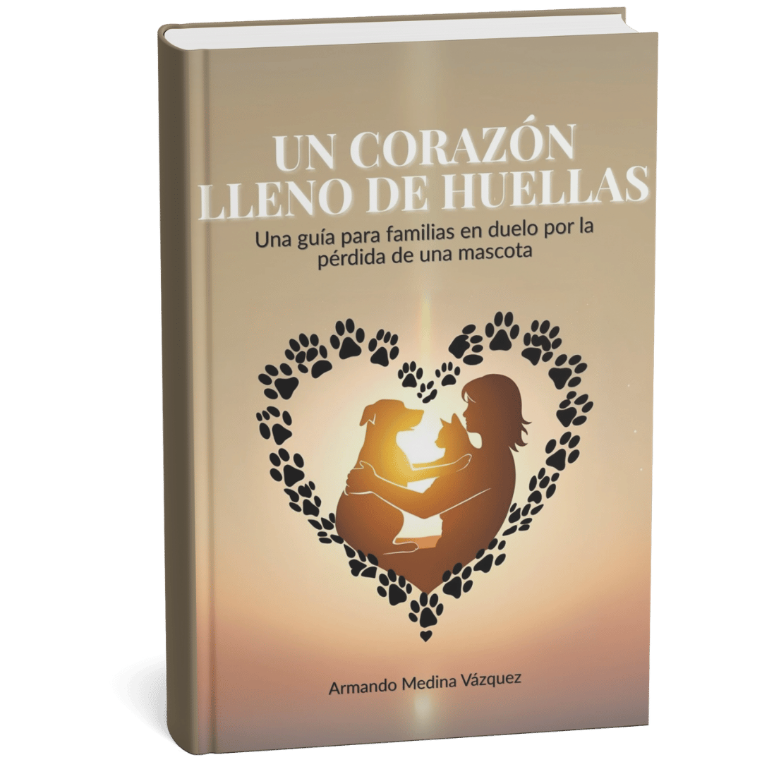 Un corazón lleno de huellas