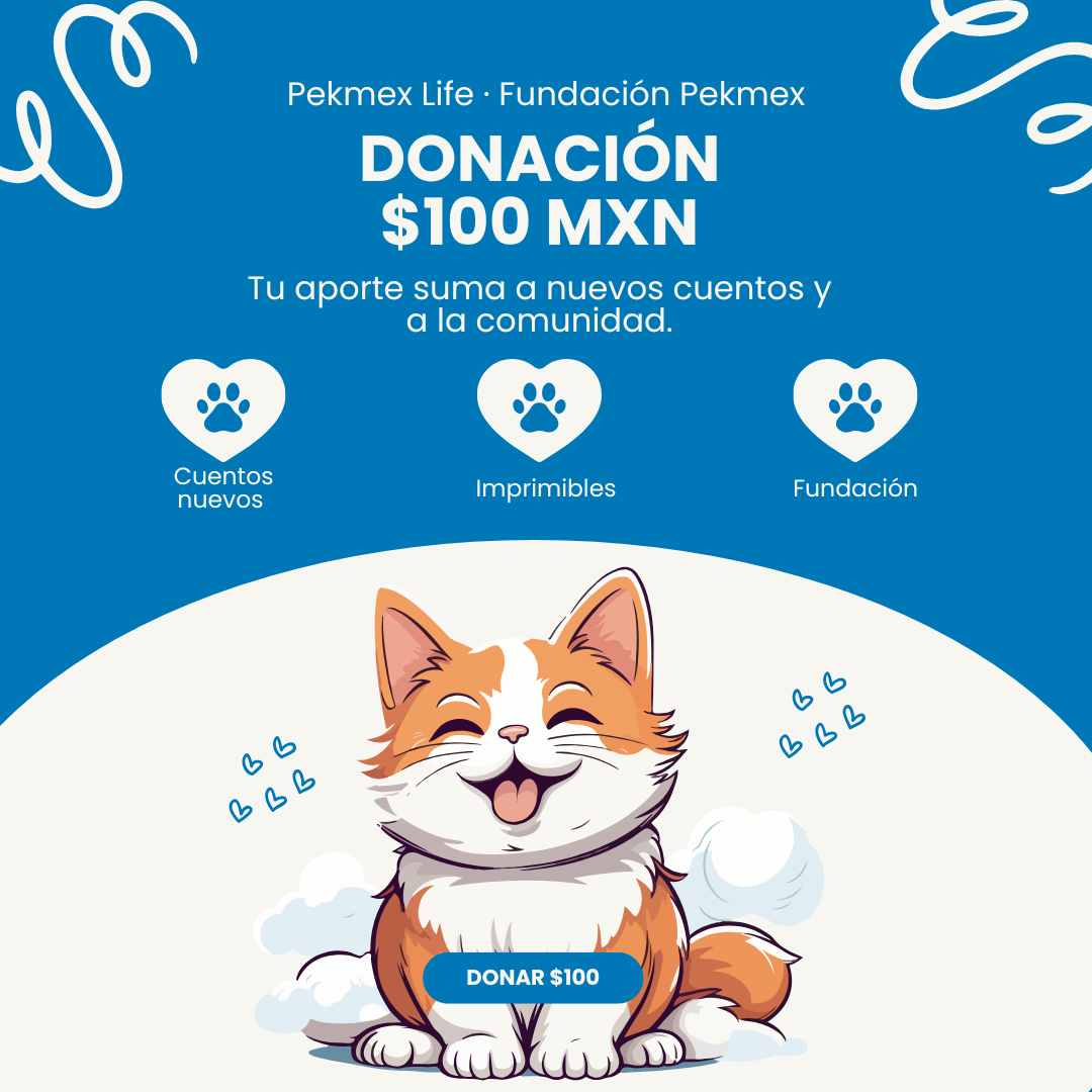 Donación desde $100 MXN — Apoya Pekmex Life + Fundación Pekmex